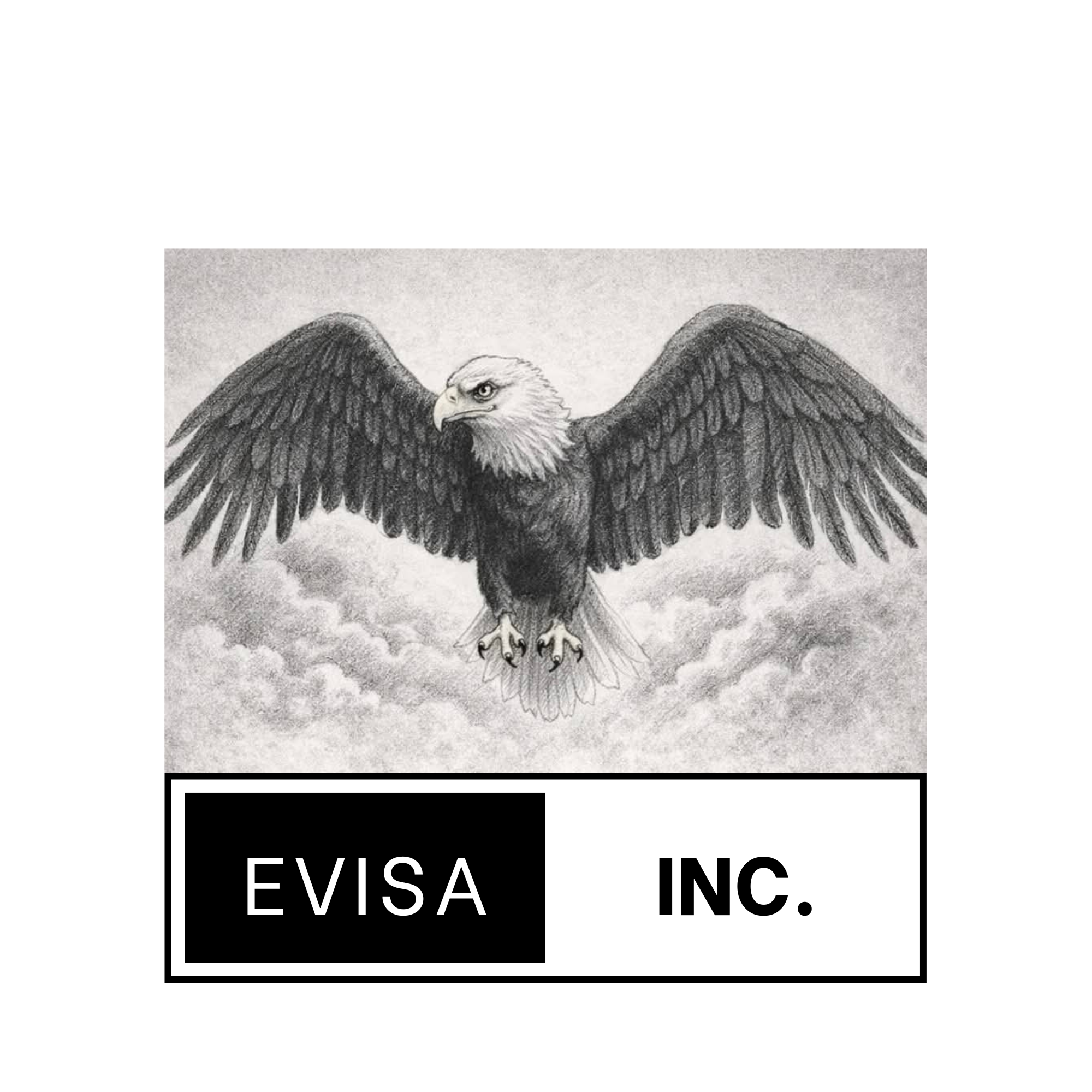 Evisa International